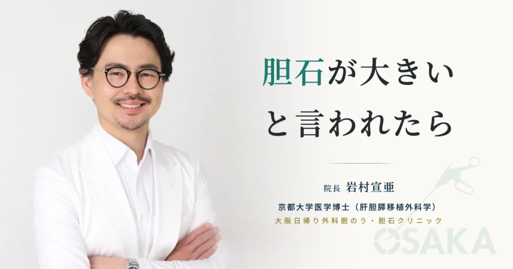 胆石が大きいと言われたら