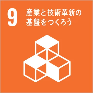 sdgs_09