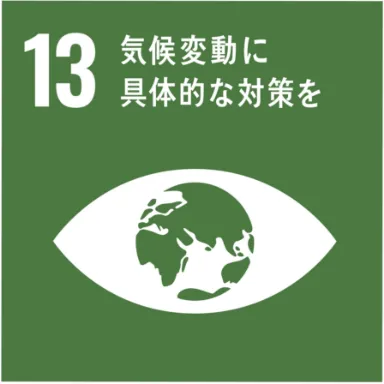 sdgs_13